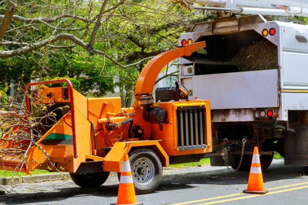 Best Emergency Tree Removal  in Newstle, CA